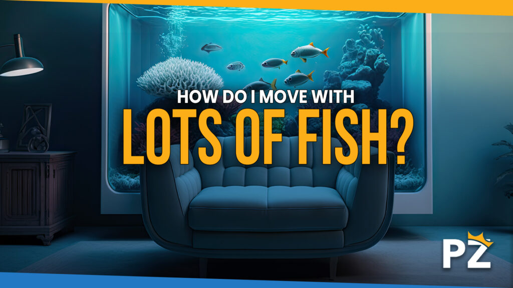 How Do I Move With Lots of Fish: 6 Tips for a Safe and Stress-Free Move in 2023