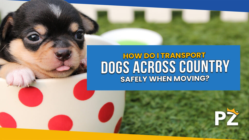 How Do I Transport Dogs Across Country Safely When Moving: Essential Tips for Safe and Secure Transportation